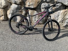 Crosswave Stoke 7.5 Mountainbike