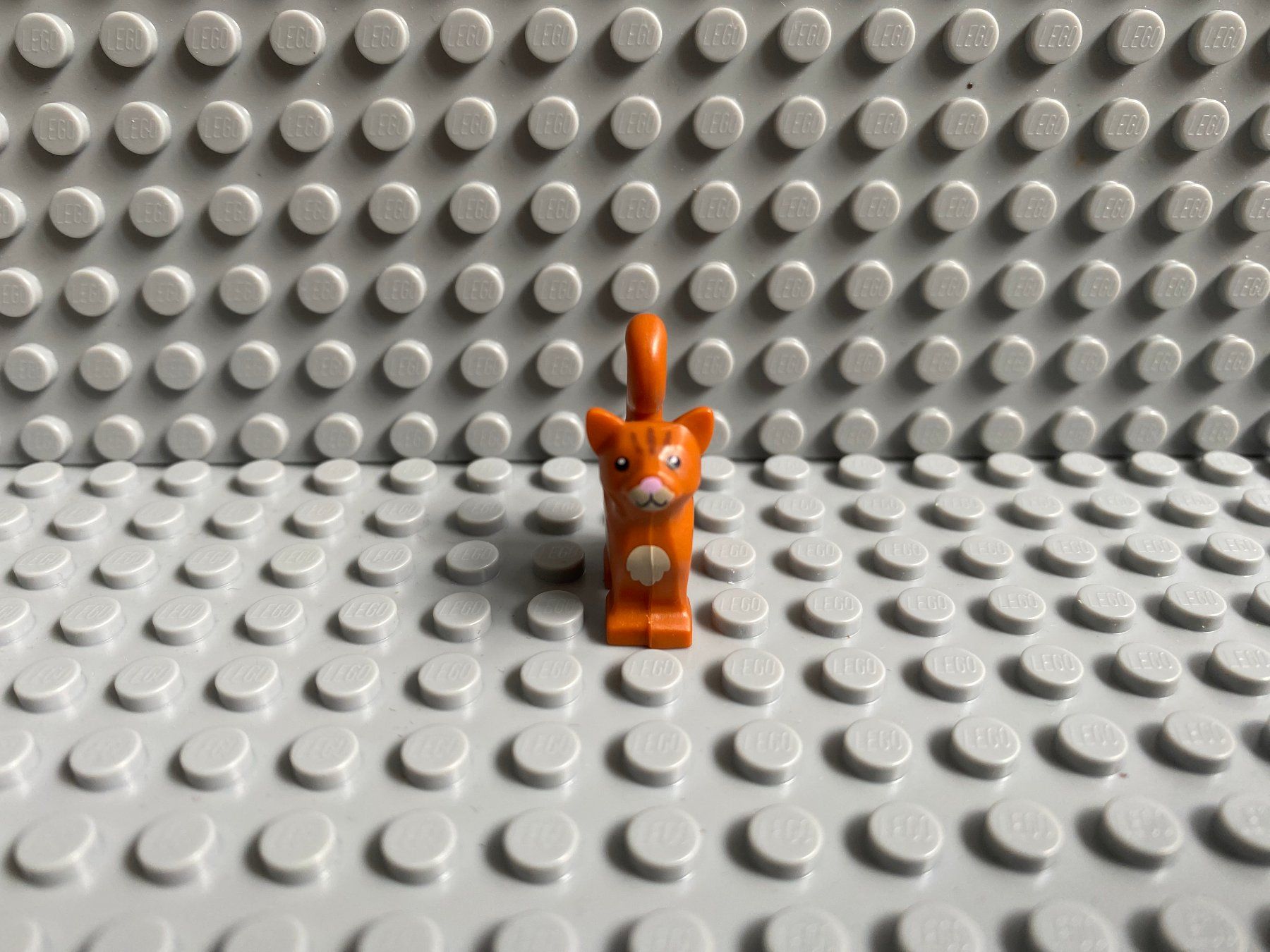 Lego Kit di costruzioni: Lego Tiere - Katze – Nuovo (secondo la descrizione) da Horw venduto da G39517sG 2