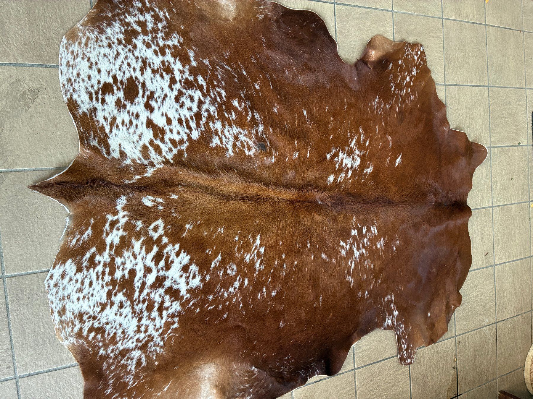 Tutte le decorazioni: echtes Texas Longhorn Leder/Fell – Usato da Holziken venduto da Hardhof11 1