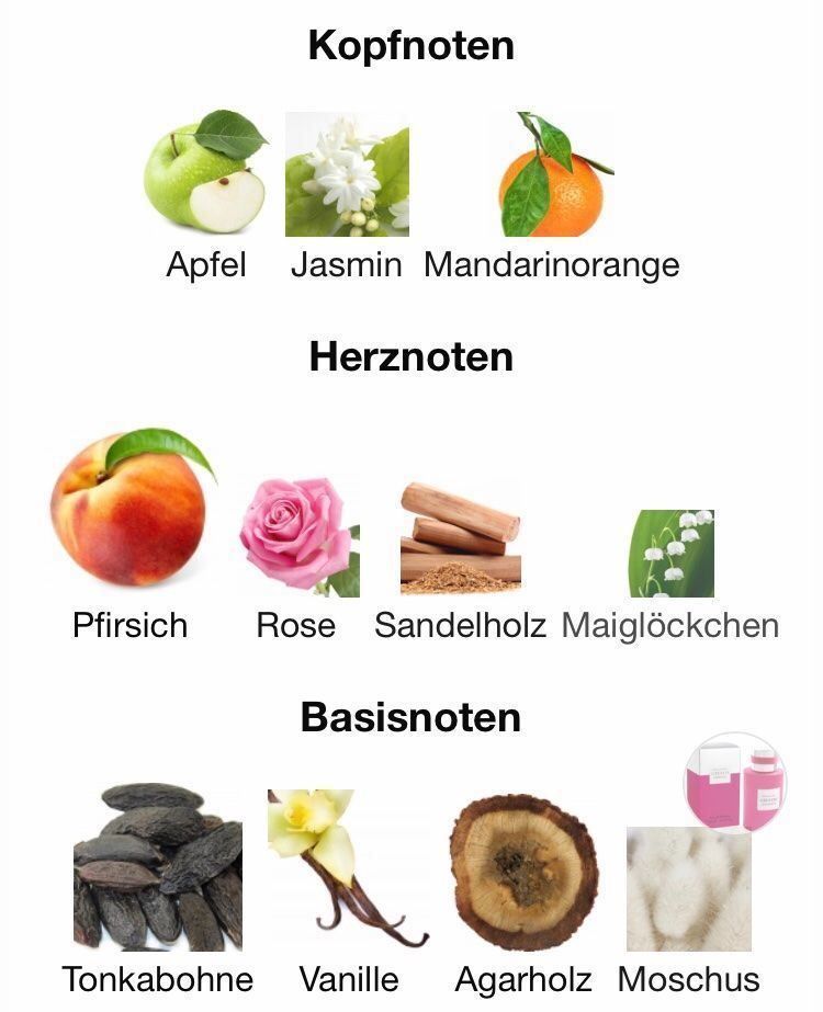Profumi & Eau de Toilette: WEIL Greedy Essence 5 ml Abfüllung – Nuovo (secondo la descrizione) da St. Gallen venduto da lfs_nxl8 3