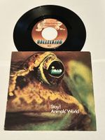 TOAD.  🇨🇭. 1971. Stay / Animals World
