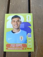 Fussballkarte Manuel Ugarte URU 14