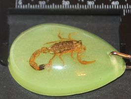 Schlüsselanhänger L-5777 – Skorpion leicht defekt – Künstlic