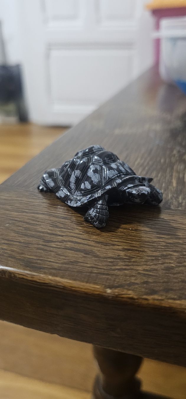 Statuette: Tortue obsidienne vintage – Nuovo e nell'imballaggio originale da Lausanne venduto da Delaquinta88 1