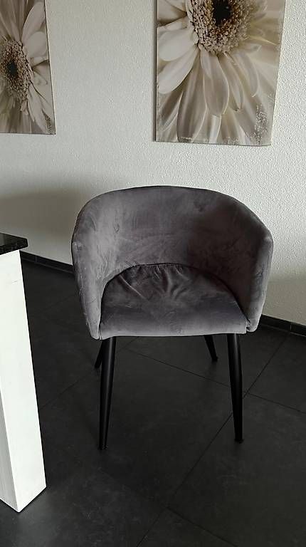 Sedie: Esszimmerstühle 6er Set – Usato da Balgach venduto da DeeKova