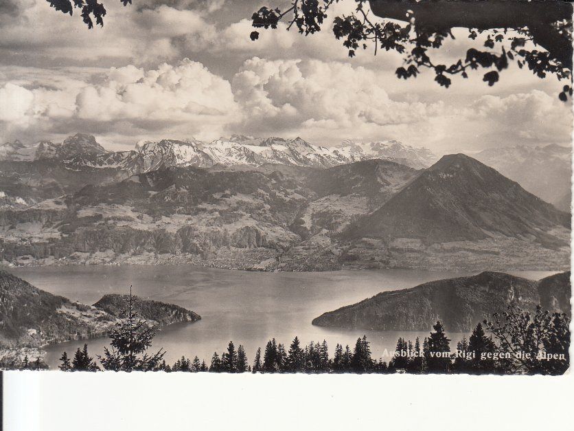 Cartoline postali: Rigi Aussicht ca. 1950 – Usato da Bürglen TG venduto da StampGraf