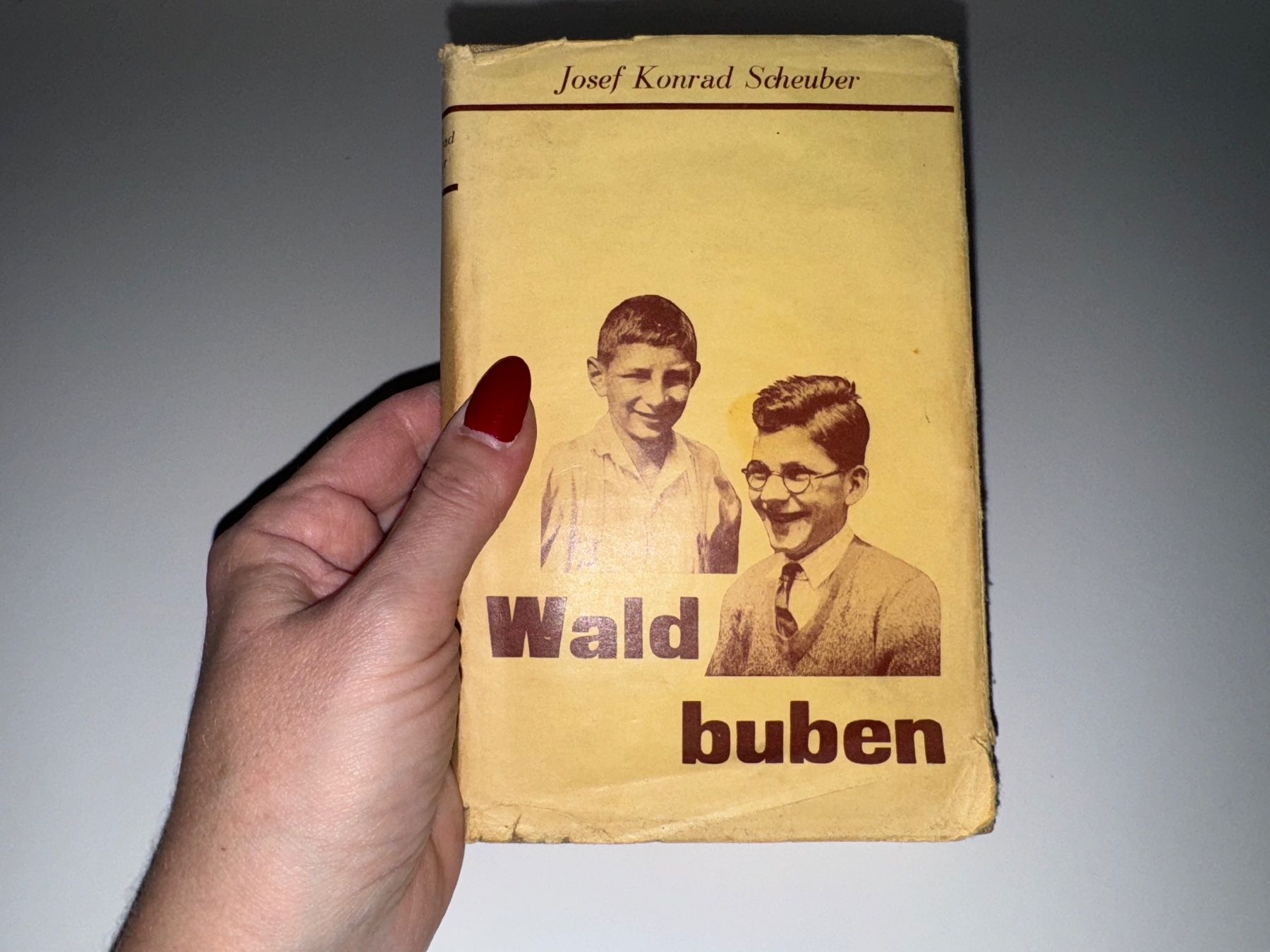 Libri: BUCH: Josef Konrad Scheuber, Waldbuben – Usato da Grosswangen venduto da Second_hand_paradise