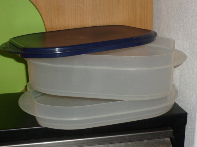 Tupperware Contenitori & Simili: TUPPERWARE FÜR AUFSCHNIT UND KÄSE – Usato da St.Gallen venduto da Anso 6