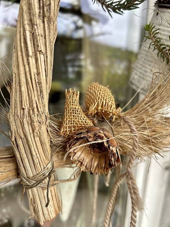 Plantes & graines: Sukkulenten im Rahmen  – D'occasion à Frauenfeld par Irene.Schuppli 1