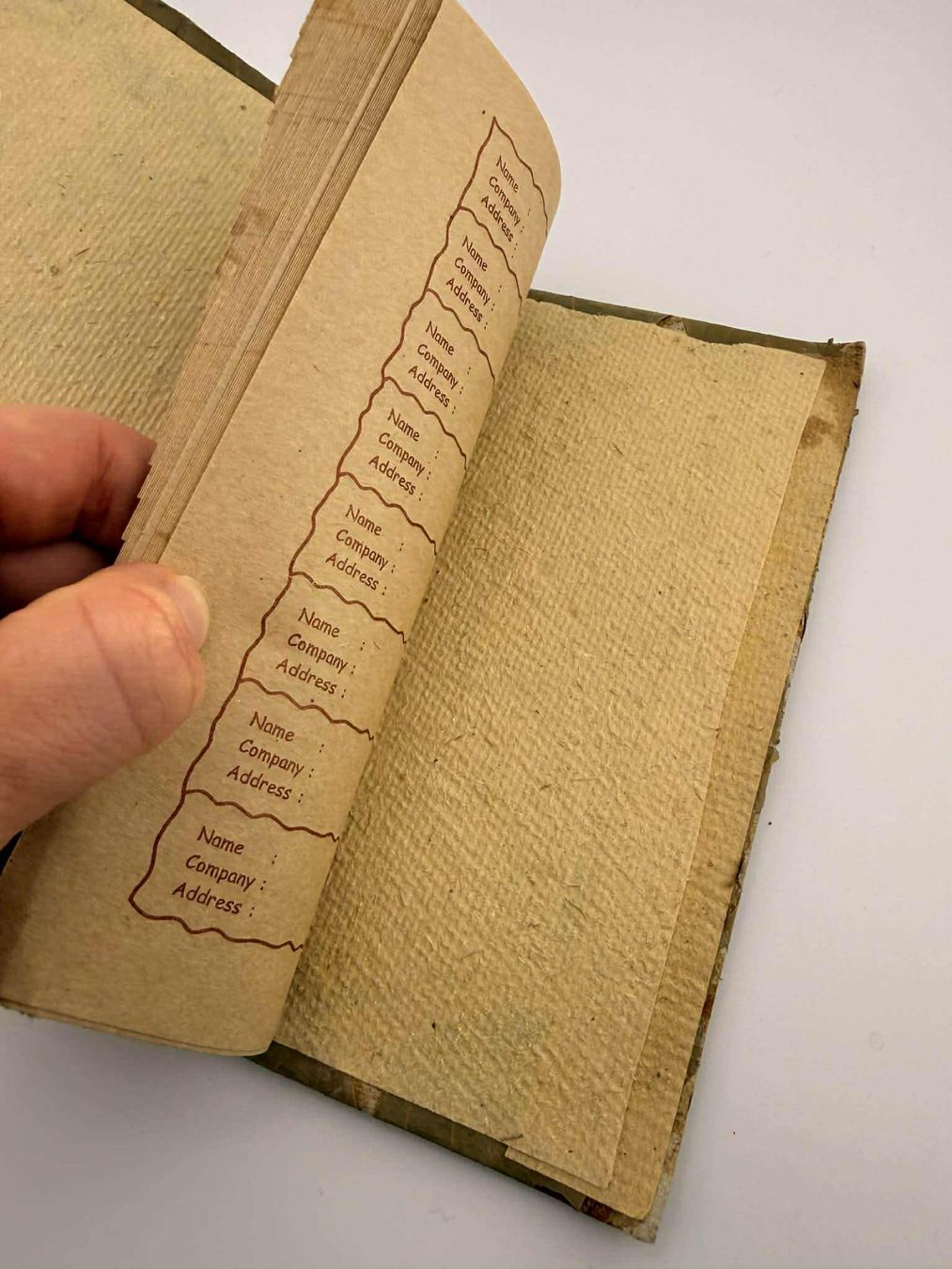 Bücher: Vintage Pflanzen-Dekor✅ – Neu (gemäss Beschreibung) aus Riehen von edu_92w7 6