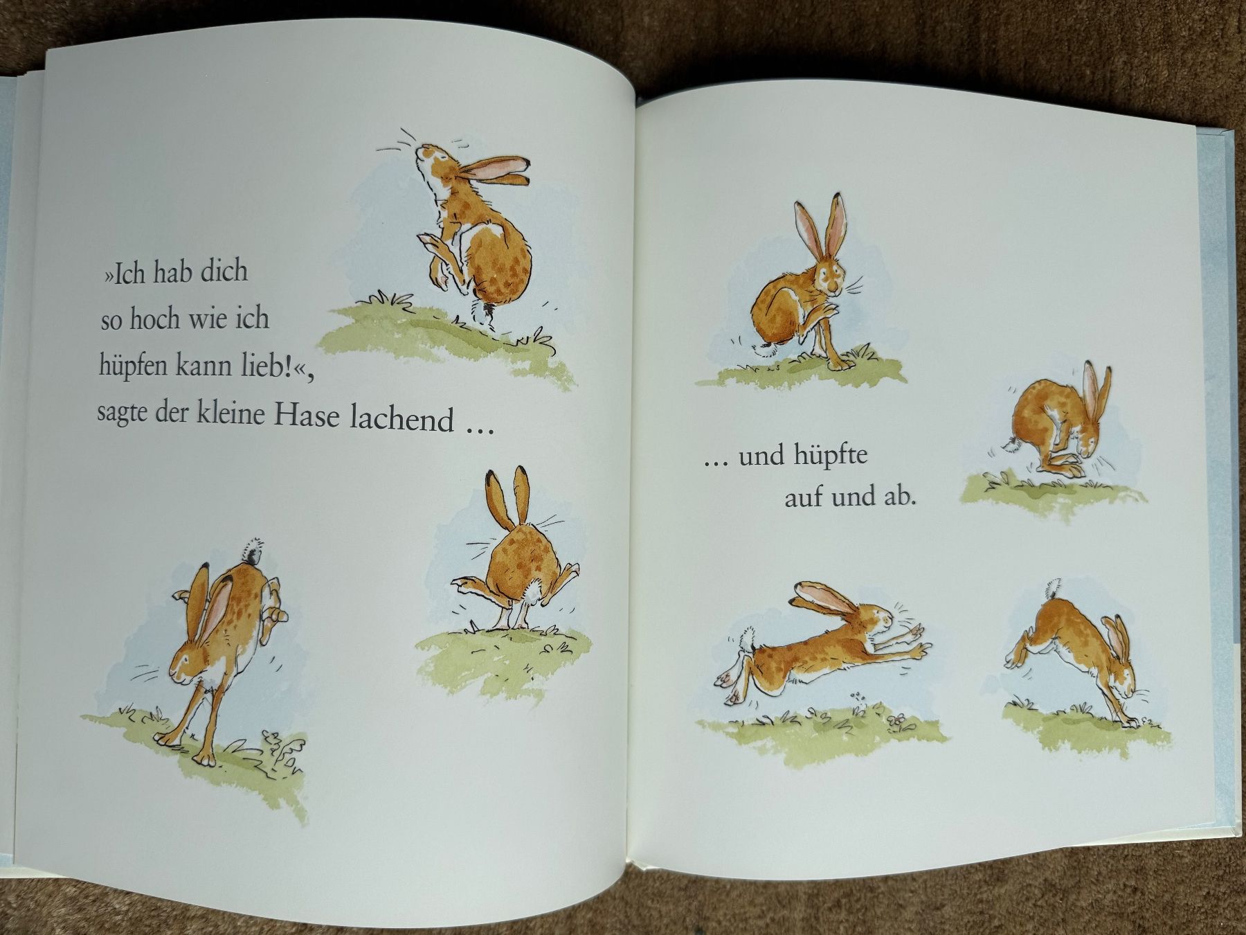 Bücher: Weisst du eigentlich wie lieb ich dich hab? – Neu (gemäss Beschreibung) aus Aarau von Kilauea 4