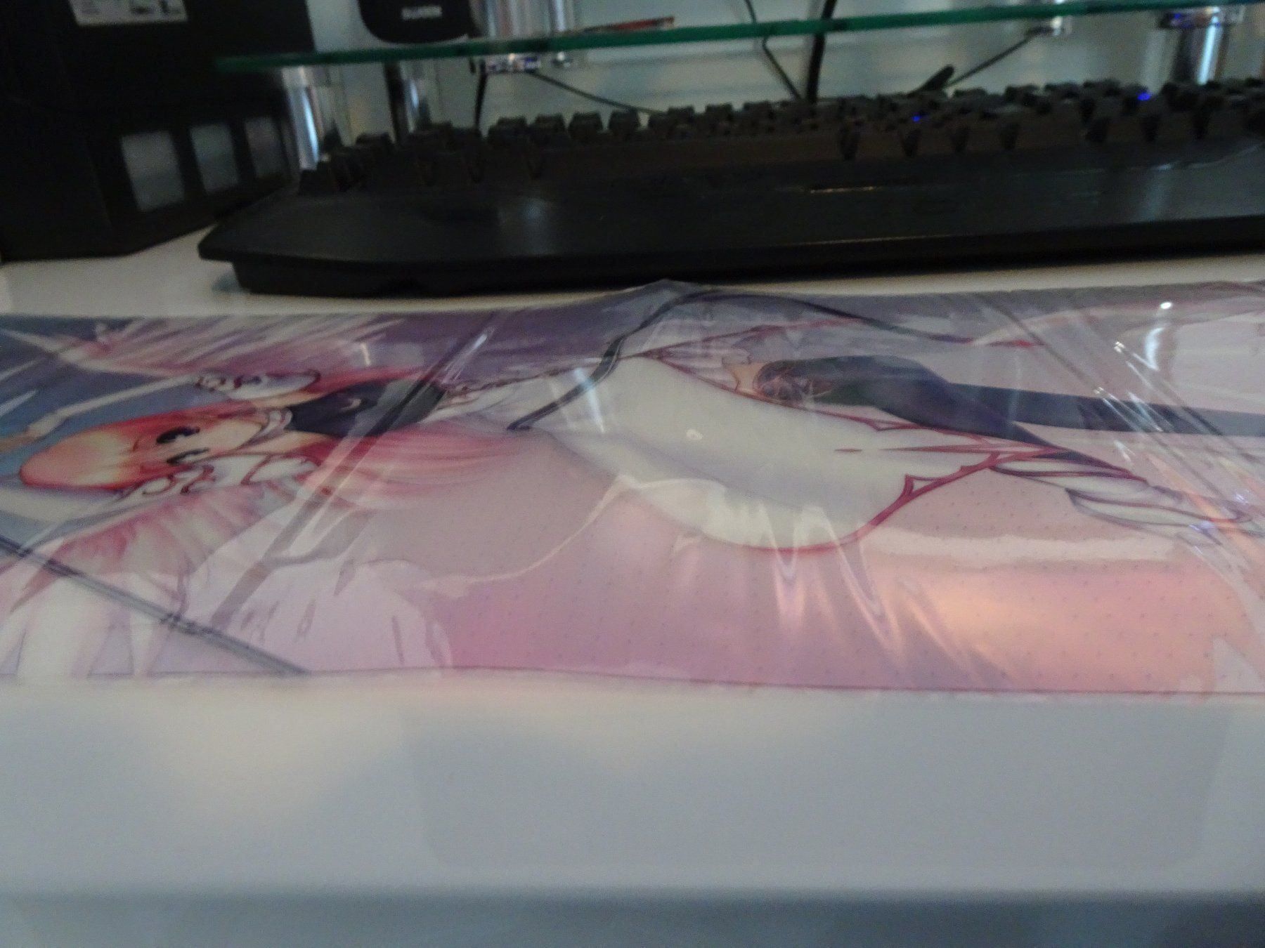 Foto & Immagini: Eustia Anime Manga Poster – Usato da Bern venduto da Maronn 1