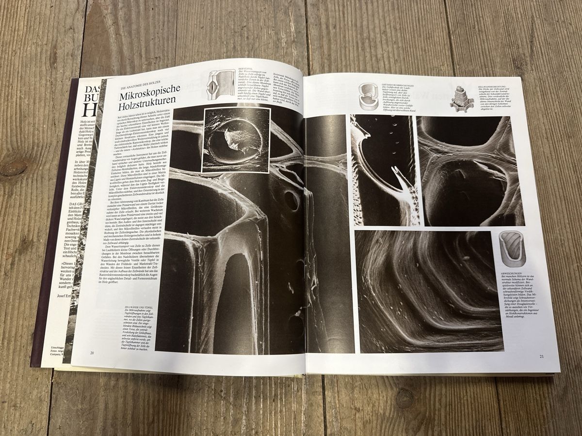 Bücher: Das grosse Buch vom Holz Edition Atlantis – Gebraucht aus Baar von Hillsboro 2