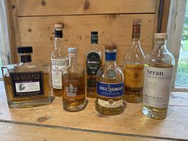 Whisky Sammlung 7 Flaschen diverse Marken gebraucht