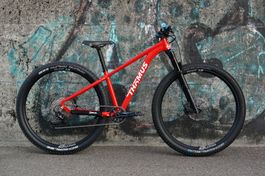 Thömus Mountainbike Tomcat Alu 29'' XS