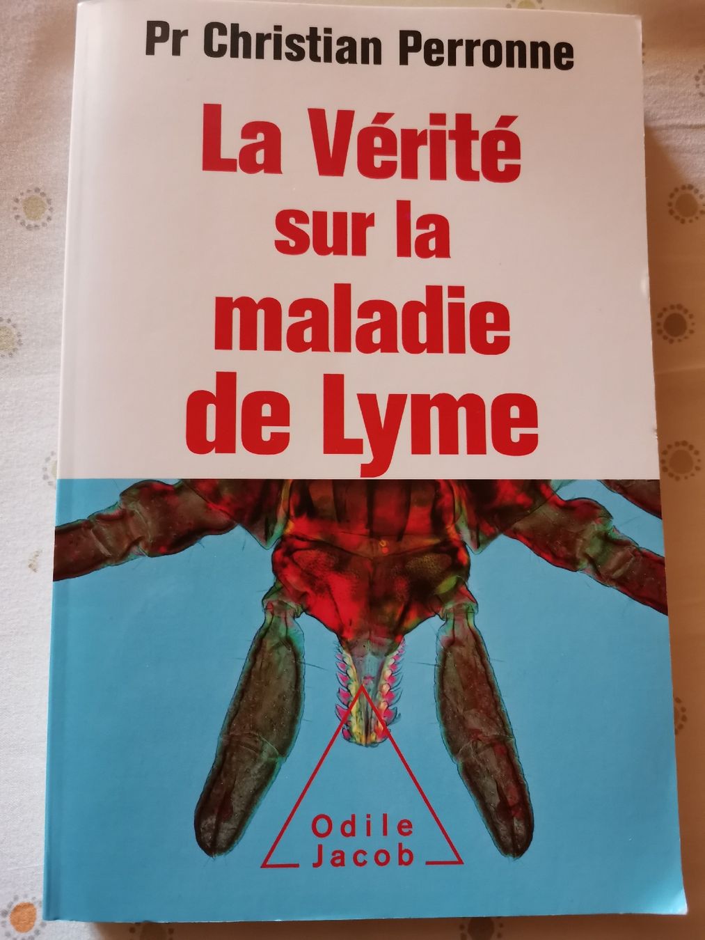 Bücher: Livre maladie de Lyme – Neu (gemäss Beschreibung) aus Cournillens von masoeur