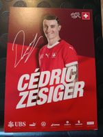 Cédric Zesiger - SFV Autogrammkarte - ⚽🏆