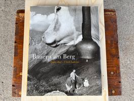 Buch Bauern am Berg