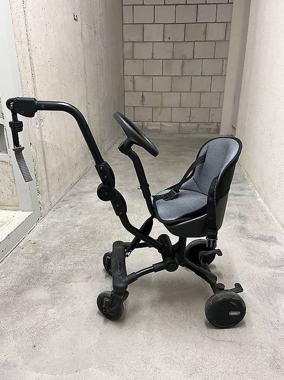 Eichhorn Uptown Rider 1