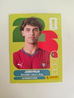 Panini Sticker WM 2026 | POR 17