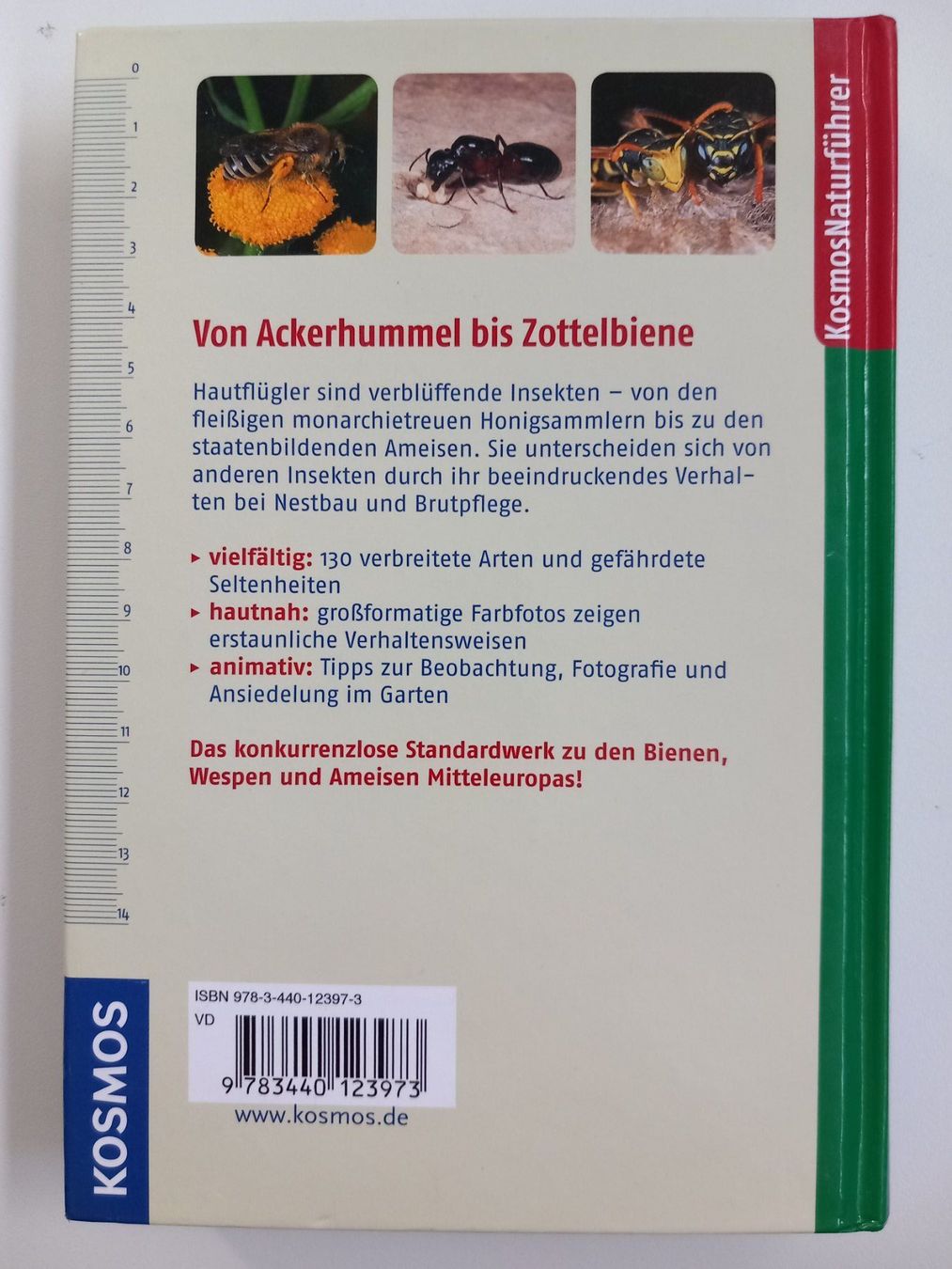 Libri: BIENEN, WESPEN, AMEISEN – Nuovo (secondo la descrizione) da Wettingen venduto da Colorup 1