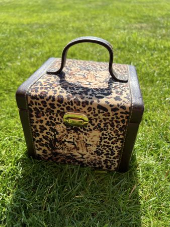 Schmuckkasten Leo-Print mit Griff und Spiegel guter Zustand