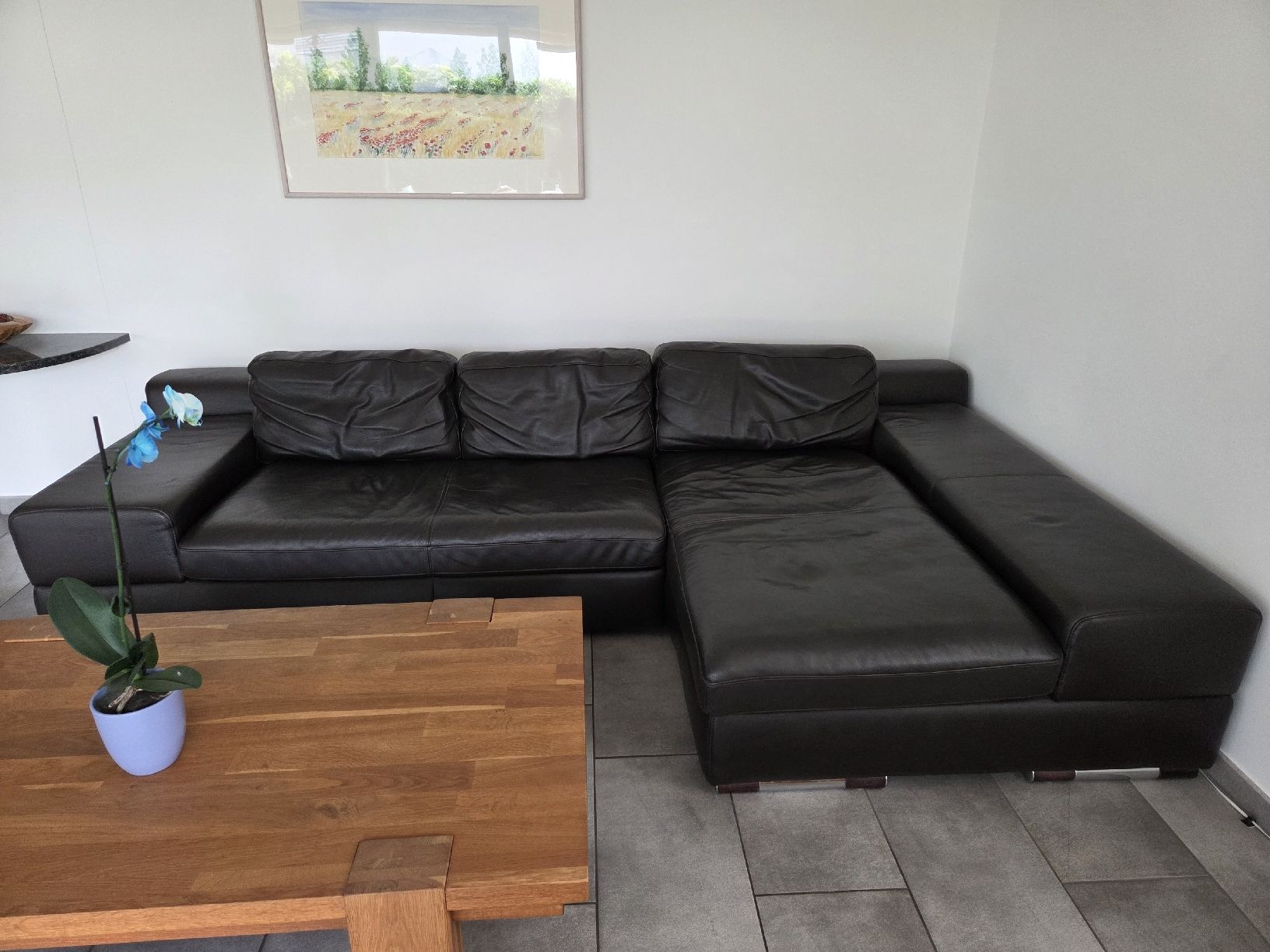 Divani: Ecksofa Leder dunkelbraun gebraucht  – Usato da Baar venduto da Daber