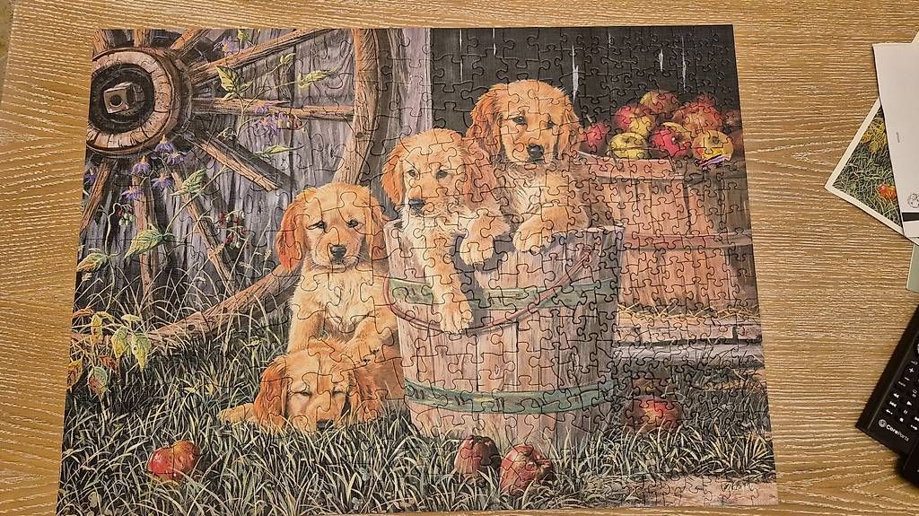 Puzzles: puzzle 350 Teile Hunde – D'occasion à Zürich par son_n55d