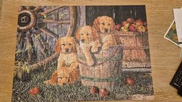 puzzle 350 Teile Hunde