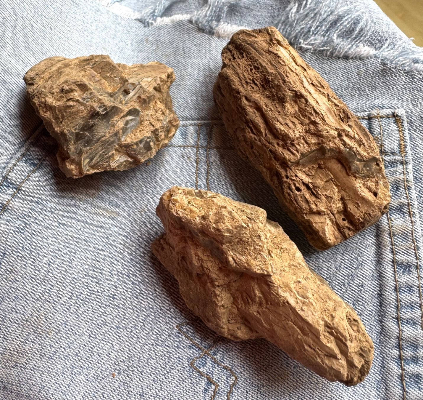 Fossilien: Bernstein  Amber   grosse Brocken    AMBER  aus Sumatra – Neu und originalverpackt aus Leuggern von gemshow 9