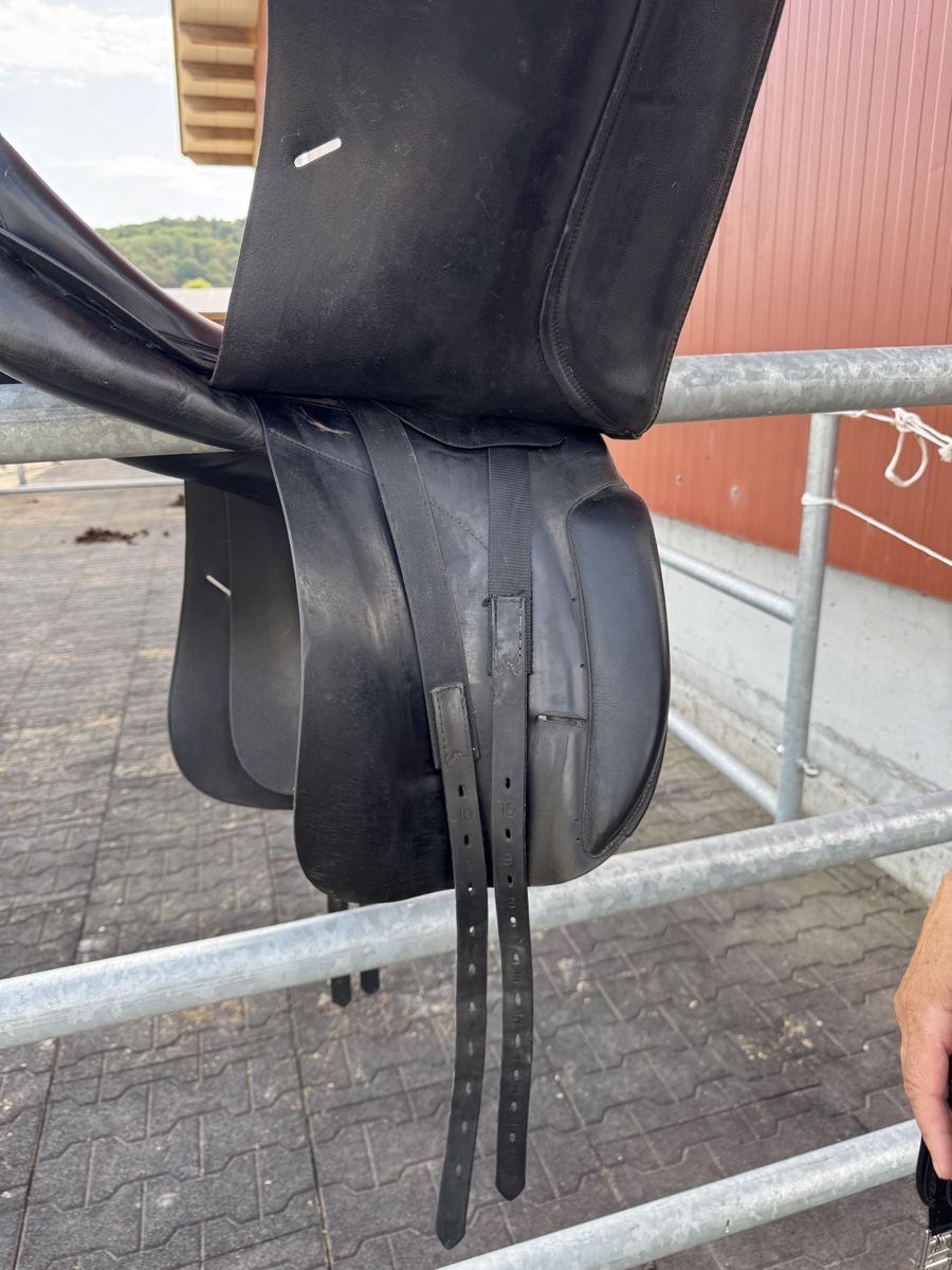 Selle & Accessori: Reitsattel – Usato da Zufikon venduto da BeatriceG0102 3