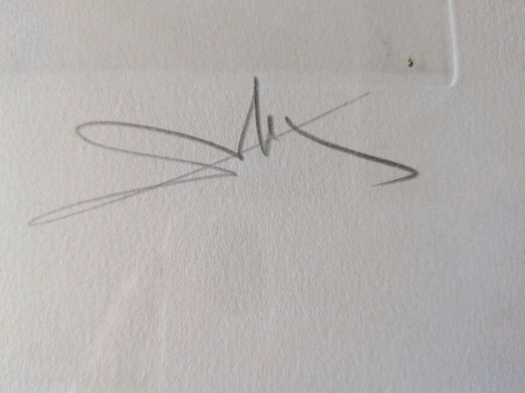 Grafica & Litografie: Lithographie Salvador Dali – Usato da Emmen venduto da magelan 2