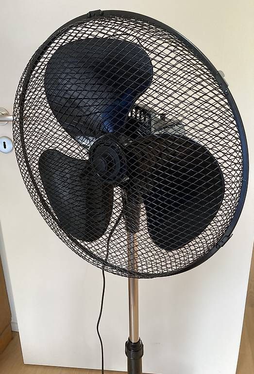 Ventilateurs: Standventilator neuwertig  – D'occasion à Bolligen par abara1 1