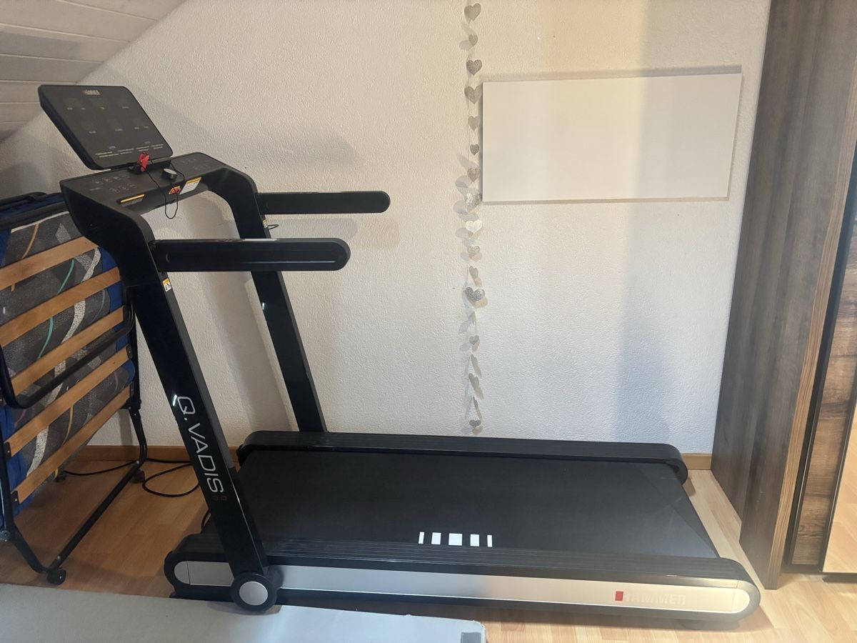 Vélos d'appartement: Laufband Q.Vadis Hammer – Neuf (Voir description) à Wiliberg par mic_2ln5