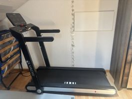 Laufband Q.Vadis Hammer