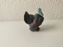 Schleich Truthahn Rarität Bauernhof Farm World Vogel