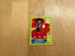 Breel Embolo Schweiz Nr.17