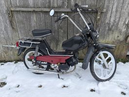 Mofa Pony 503 GTX mit Ausweis