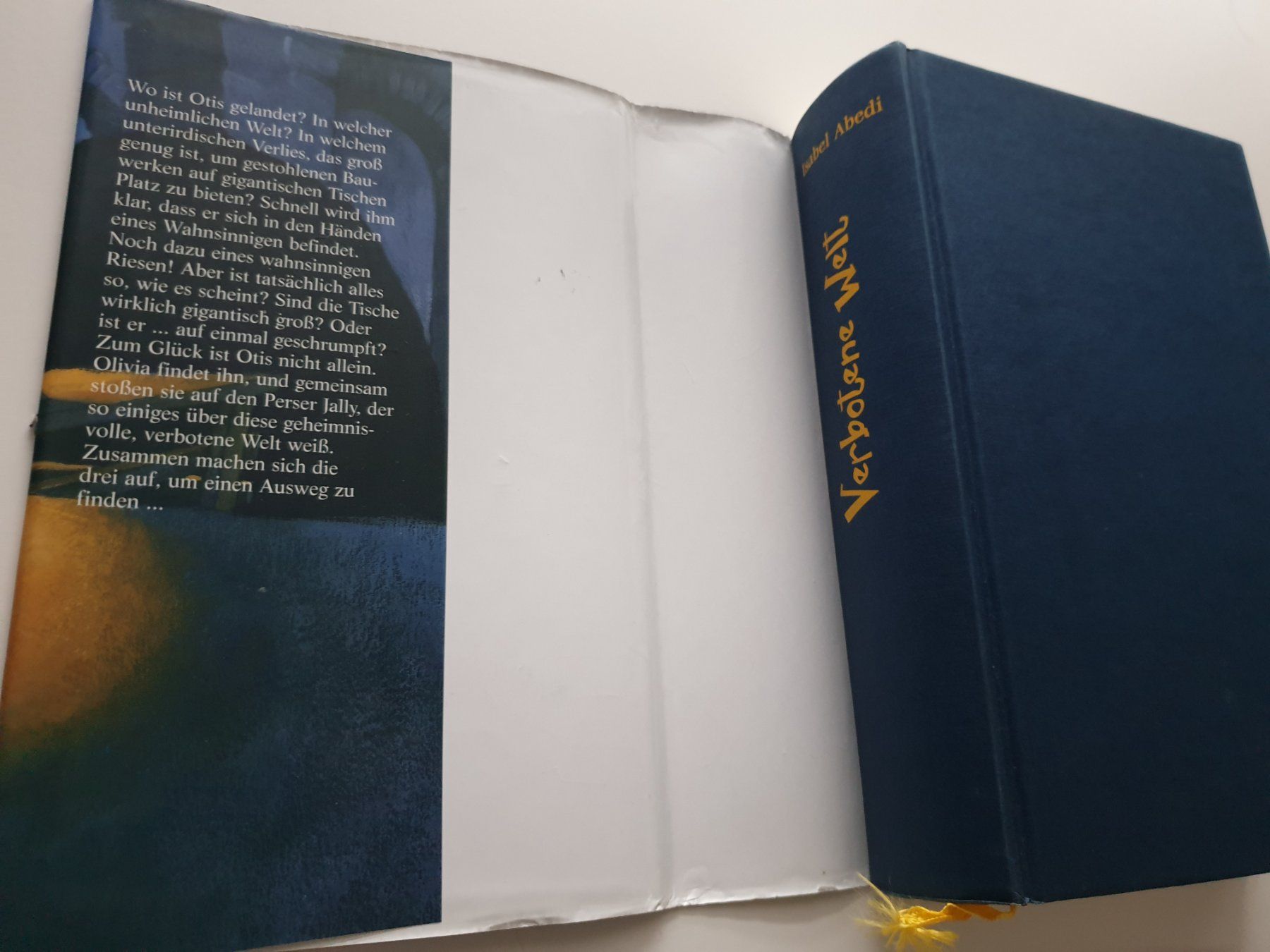Libri: Verbotene Welt - Isabel Abedi Buch – Usato da Zürich venduto da pau_y8mv 5