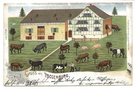 Gruss vom Toggenburg (SG) Bauernhaus - Kühe - Litho - 1902