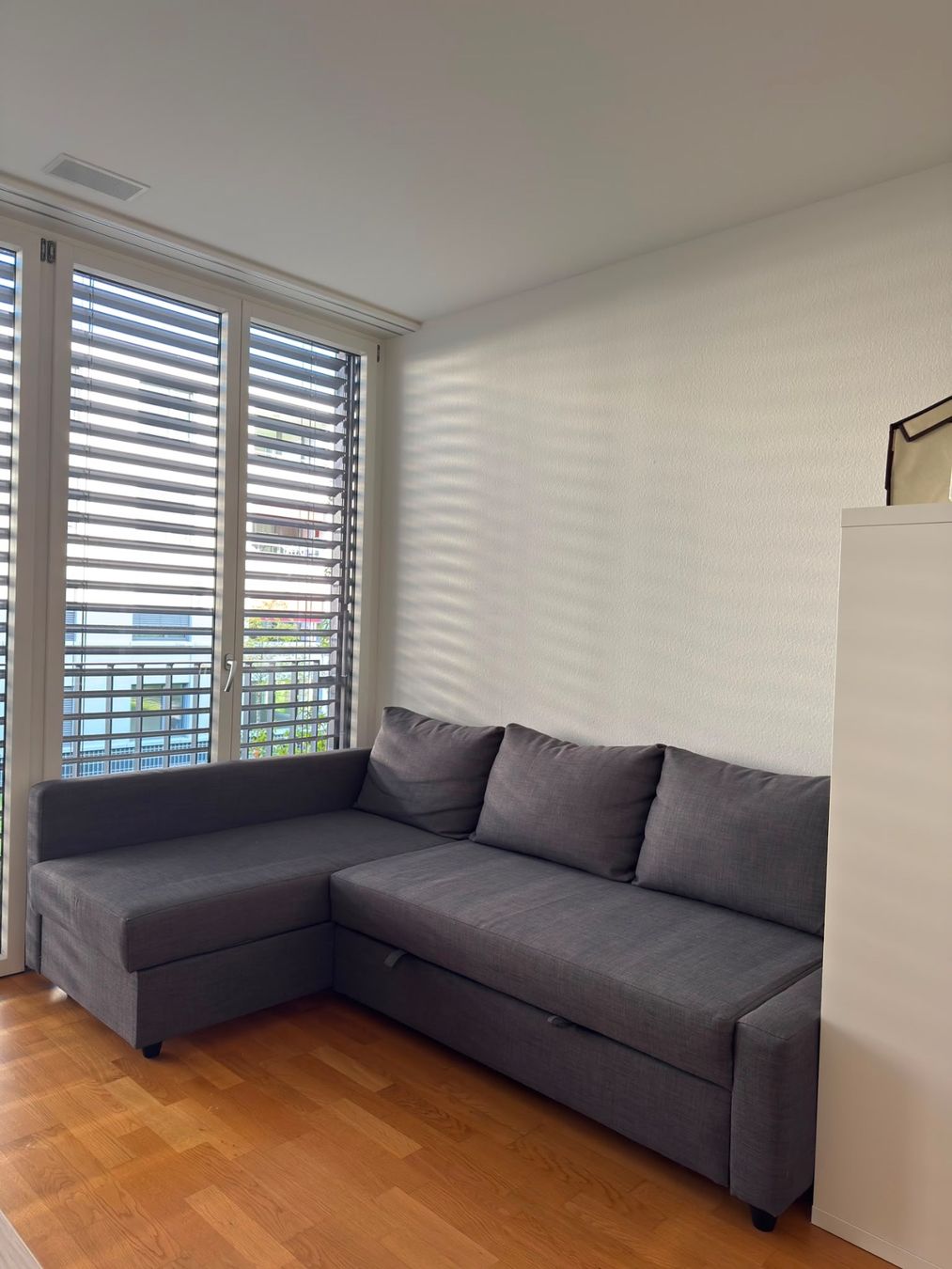 Divani: Ikea sofa bed – Usato da Bern venduto da dts_gsp9 1