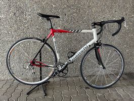 Bianchi Nirone Rennvelo