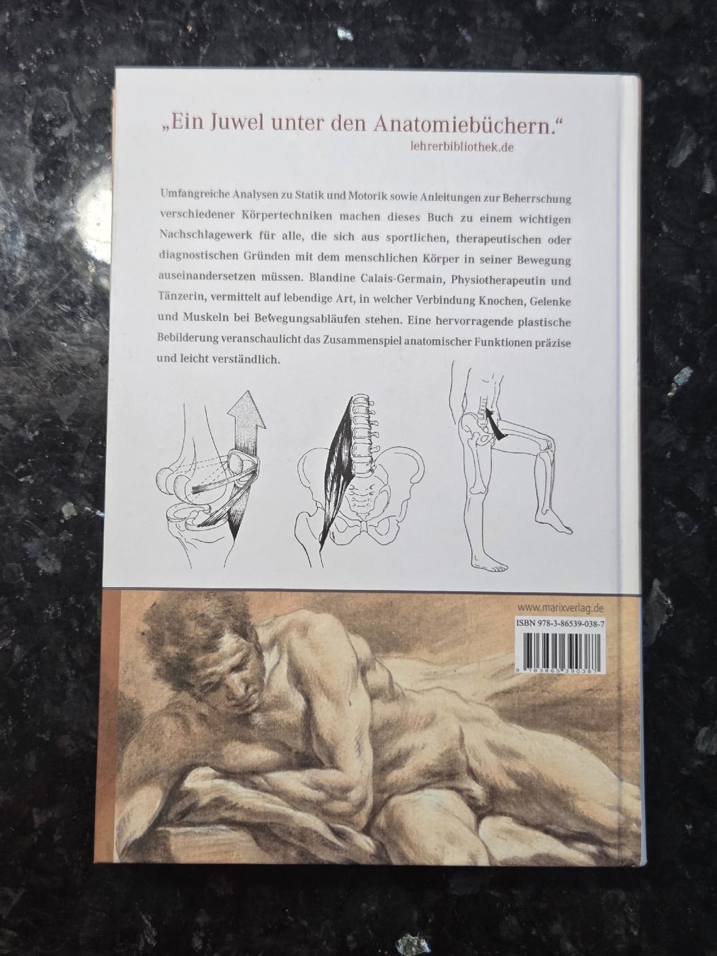 Livres: Anatomie der Bewegung – Neuf (Voir description) à Müntschemier par Fee_00 1