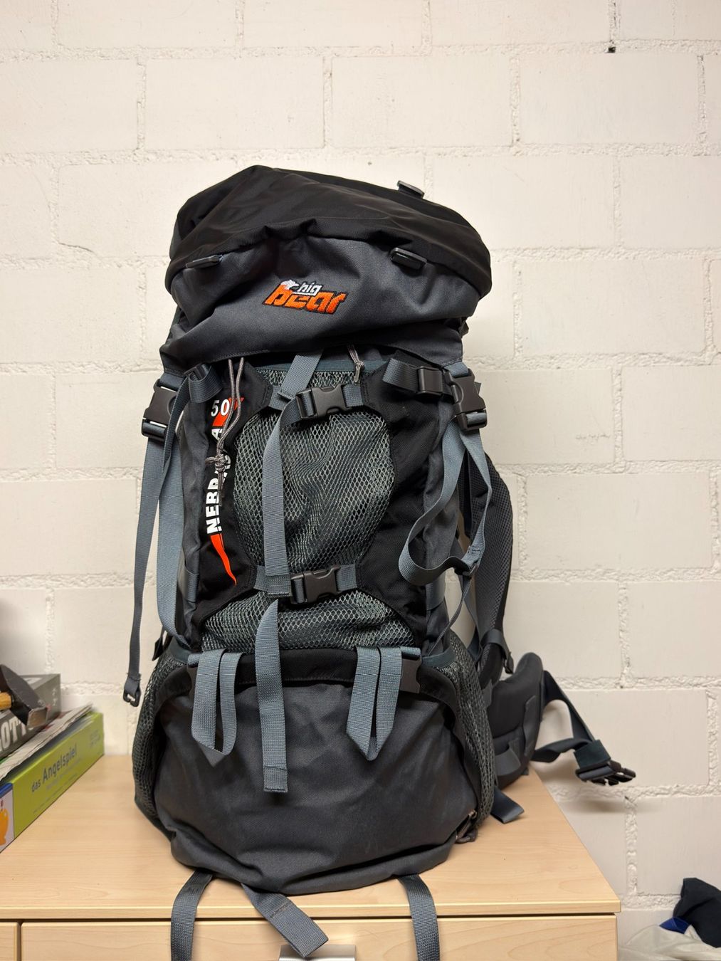 Rucksäcke: Wanderrucksack Big Bear + Iso Matte + Luft Matte – Gebraucht aus Dübendorf von ilazzi