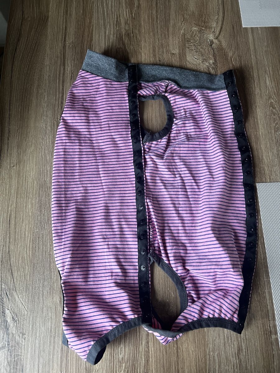 Abbigliamento: Hunde OP body L Grösse – Nuovo (secondo la descrizione) da Weite venduto da nag_xn7g 2