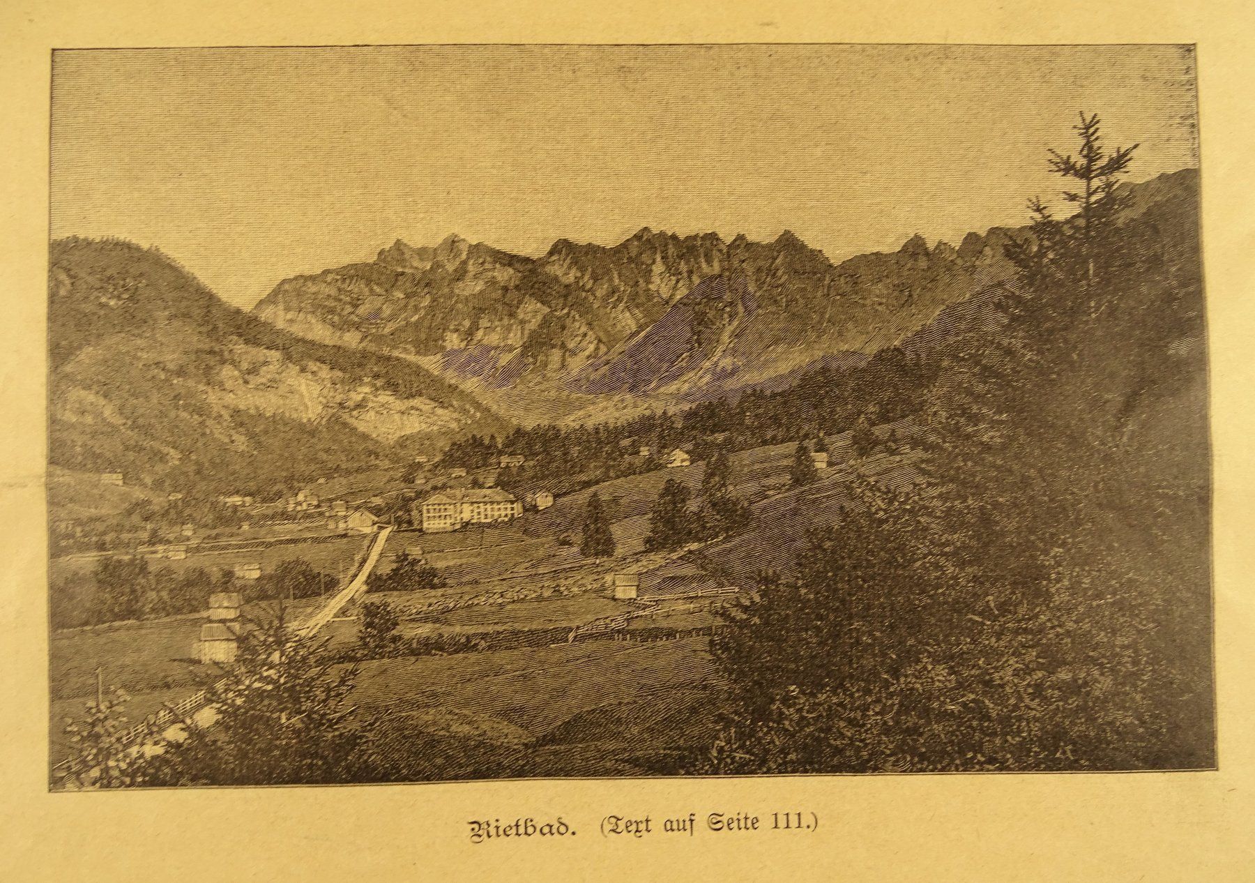 Incisioni: WILDHAUS, HOLZSTICH UM 1890 – Usato da Grüningen venduto da Kartensammler 3