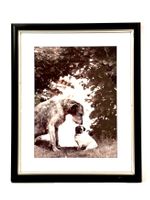 Hunde "Smalltalk" Bild gerahmt Holz/Silber 56 x 45cm