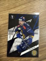 Spirtzoo Playoff HC Davos Zadina /60