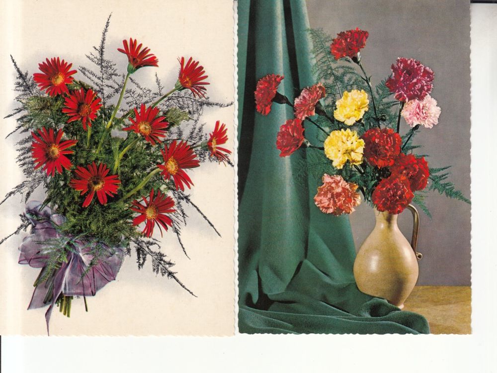 Cartoline postali: Floristik ca. 1960, 2 Stk – Usato da Bürglen TG venduto da StampGraf