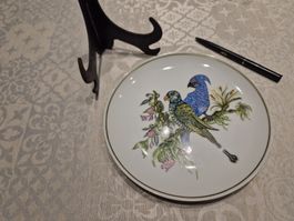Assiette décorative vintage - Motif oiseaux exotiques🦜